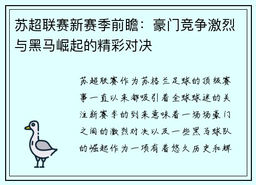 苏超联赛新赛季前瞻：豪门竞争激烈与黑马崛起的精彩对决